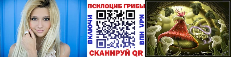 как найти закладки  Невельск  Галлюциногенные грибы MAGIC MUSHROOMS 